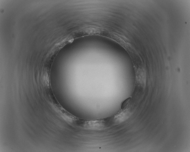 X0000068890622200605122035