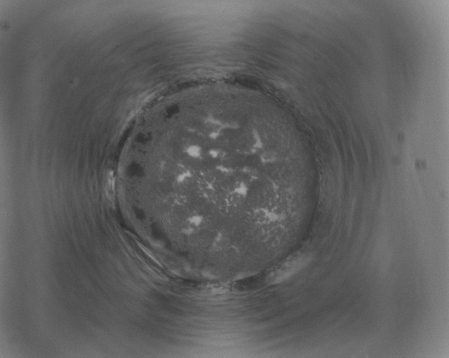 X0000068890624200605122035