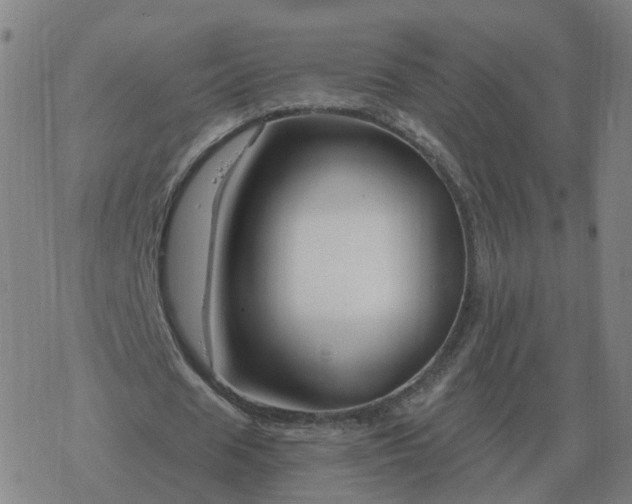 X0000068890625200605122034