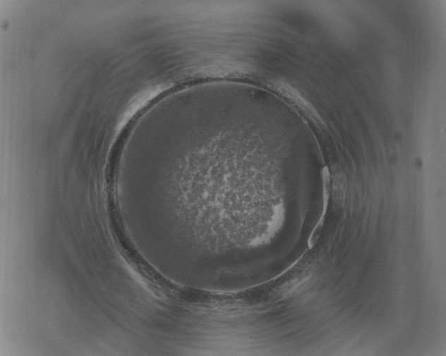 X0000068890626200605122034