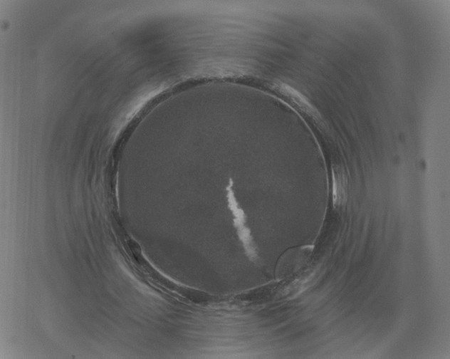 X0000068890627200605122034