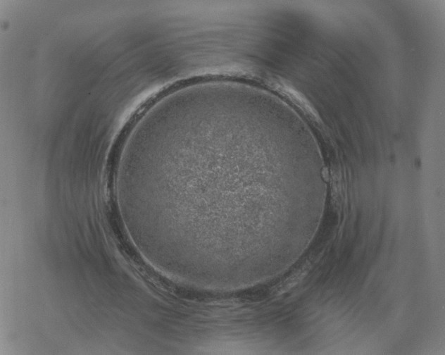 X0000068890628200605122034