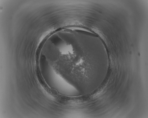 X0000068890630200605122035