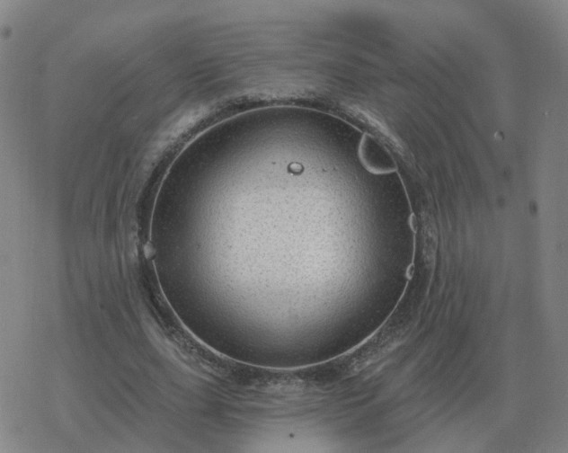 X0000068890631200605122035