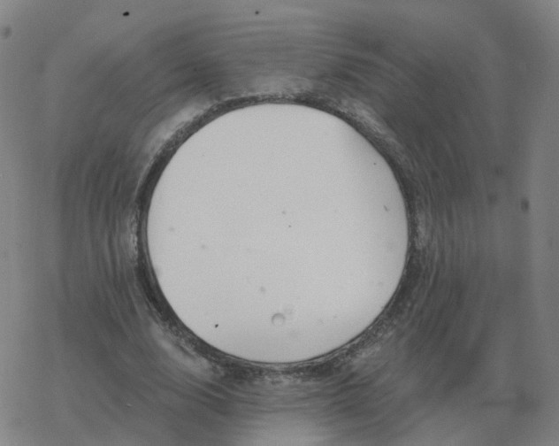 X0000068890632200605122035