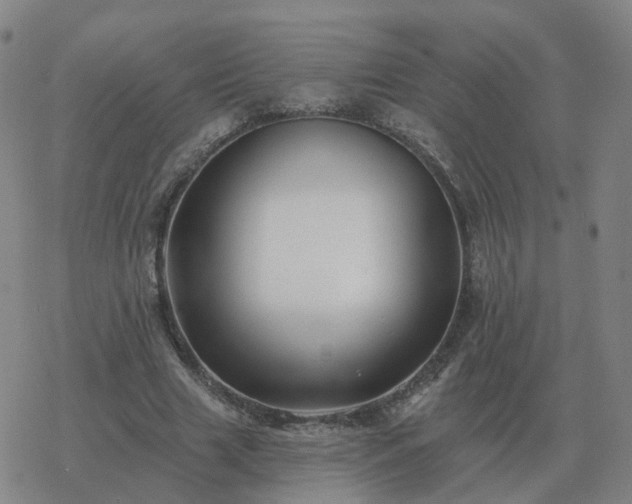 X0000068890633200605122035