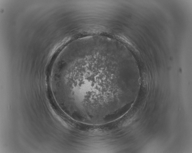 X0000068890634200605122035