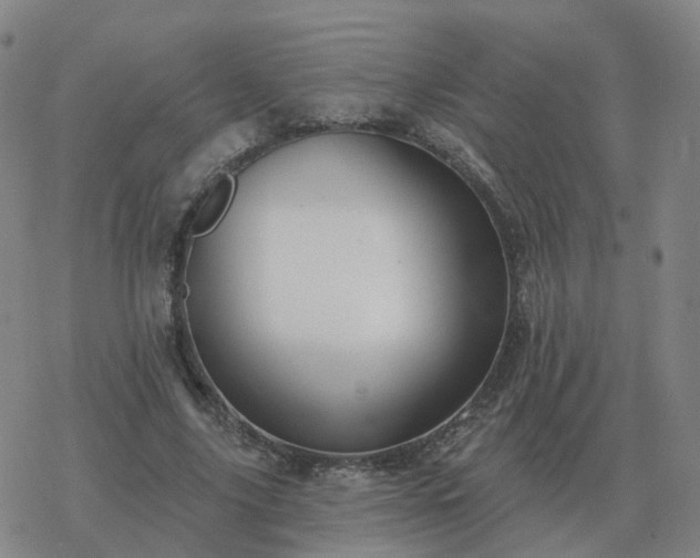 X0000068890635200605122035