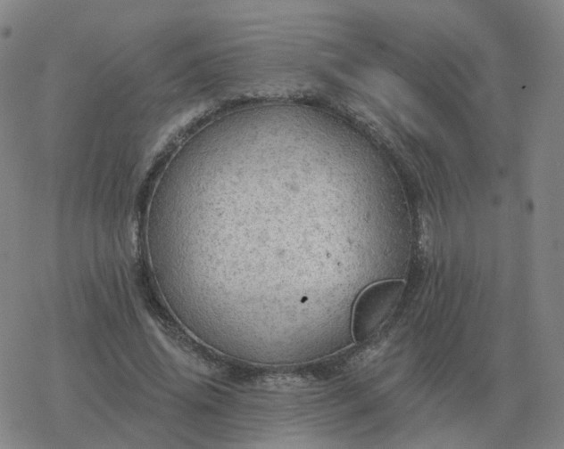 X0000068890636200605122035