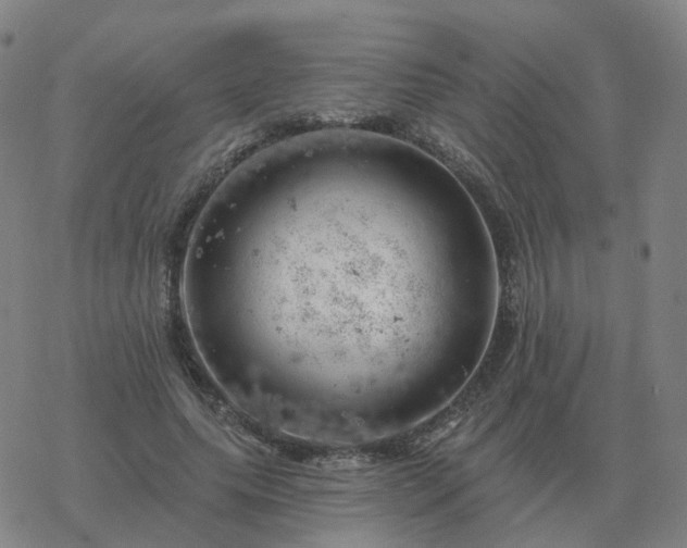 X0000068890639200605122035