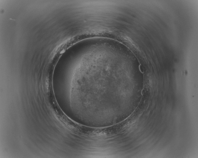 X0000068890640200605122035