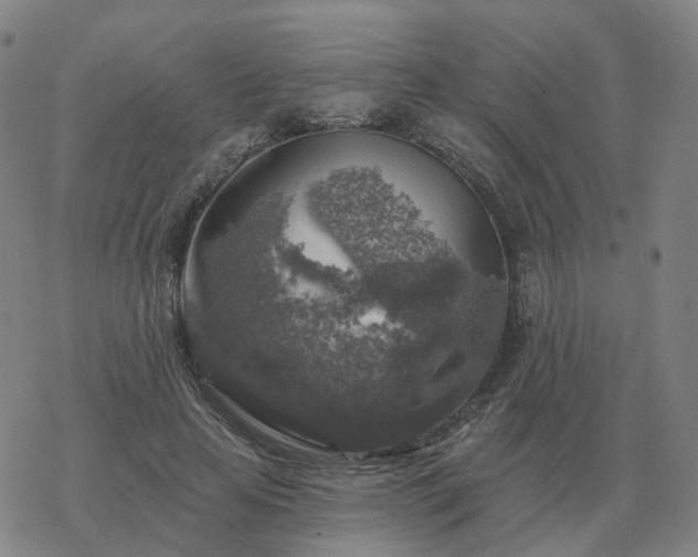 X0000068890641200605122035