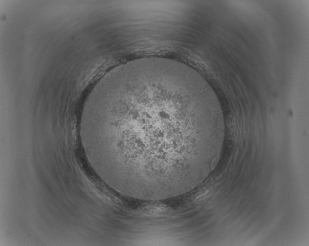 X0000068890642200605122035