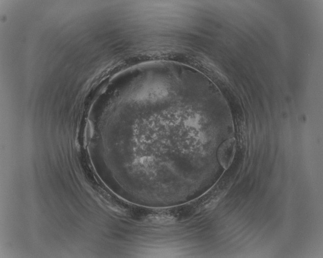 X0000068890644200605122035