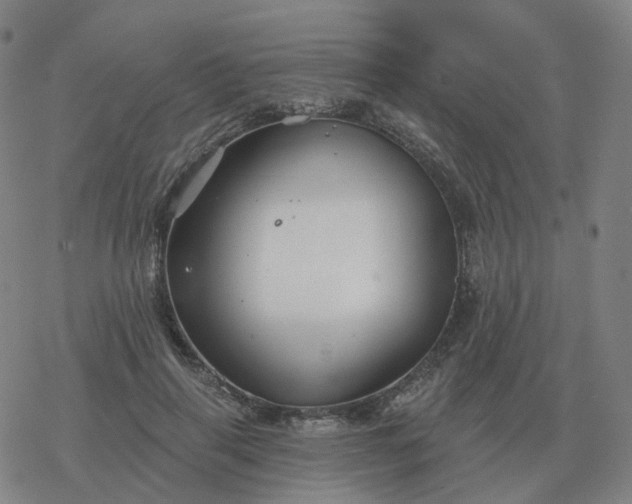 X0000068890645200605122035