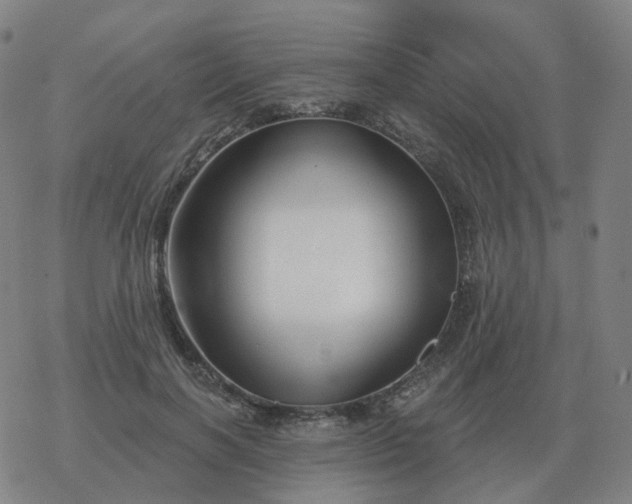 X0000068890646200605122035