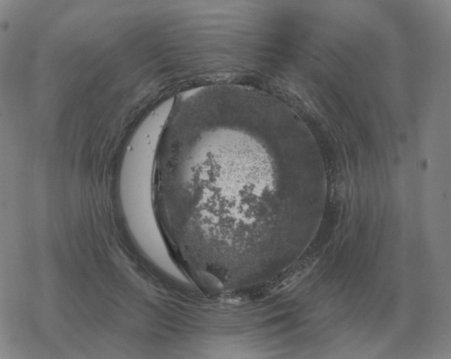 X0000068890647200605122035