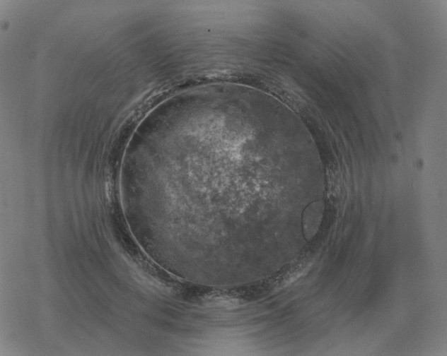 X0000068890648200605122035