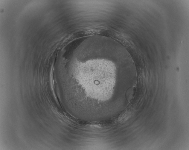 X0000068890649200605122035