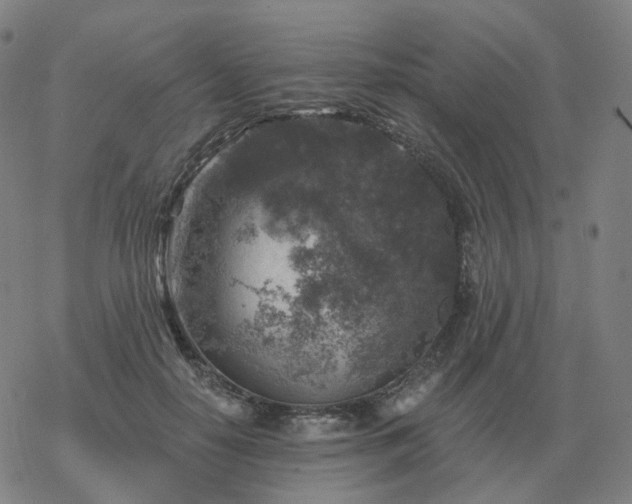 X0000068890650200605122035