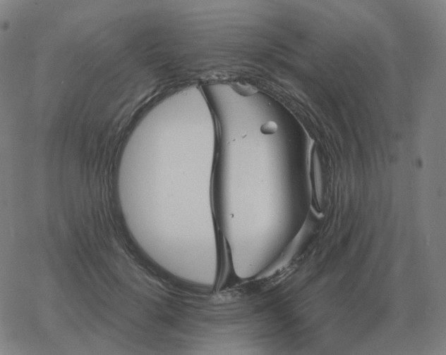 X0000068890652200605122035