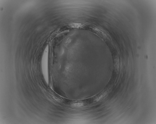 X0000068890653200605122035