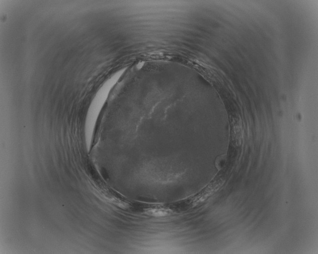 X0000068890654200605122035