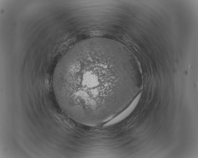 X0000068890655200605122035