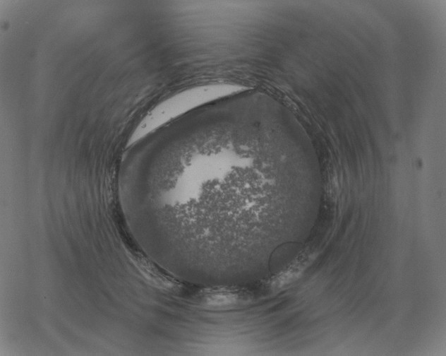 X0000068890658200605122035