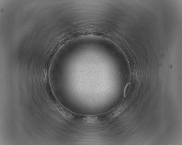 X0000068890660200605122035