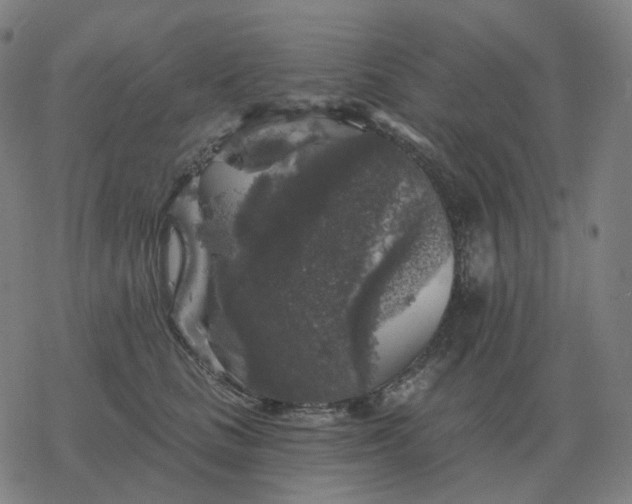 X0000068890661200605122035