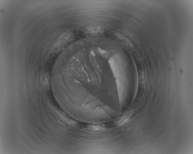 X0000068890662200605122035