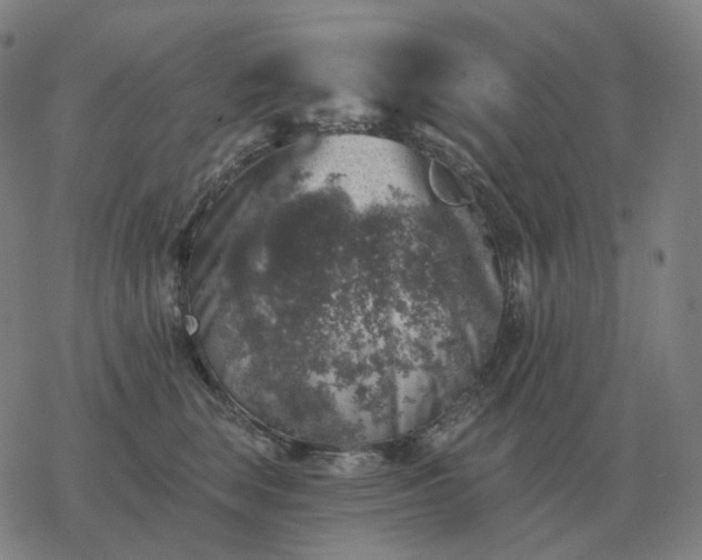 X0000068890663200605122035