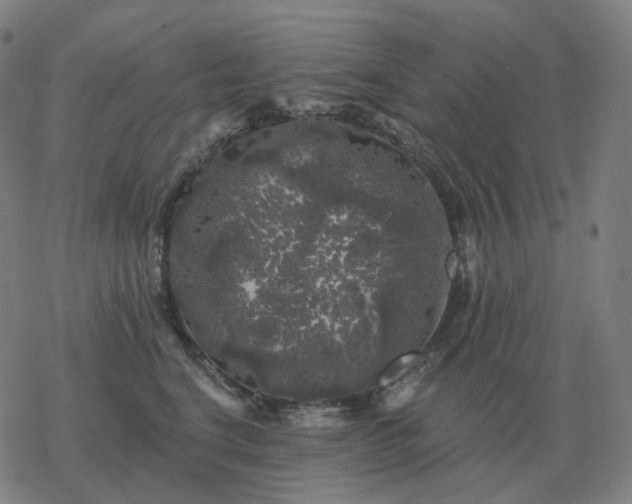 X0000068890664200605122035