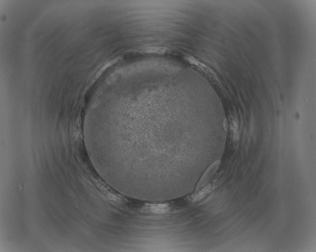 X0000068890665200605122035