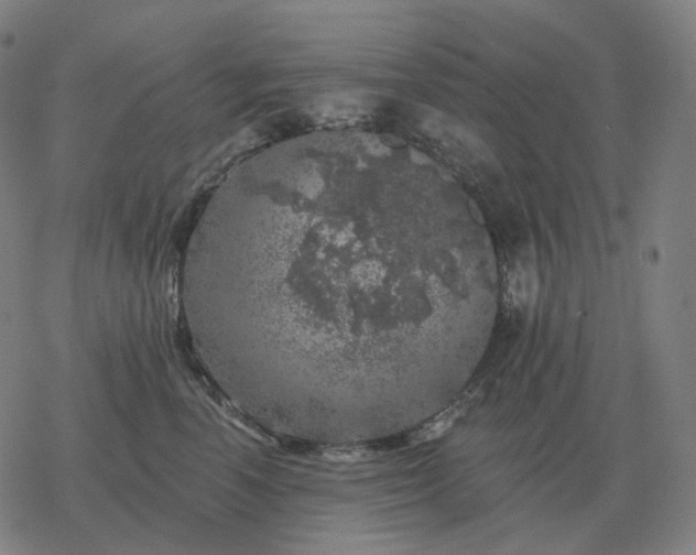 X0000068890666200605122035