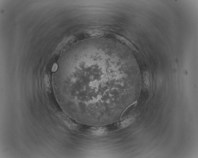 X0000068890667200605122035