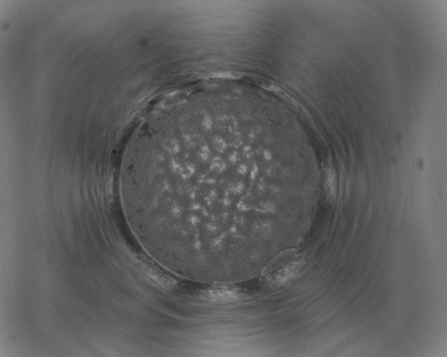 X0000068890668200605122035