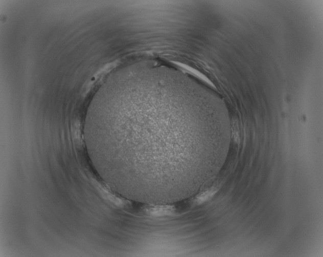 X0000068890670200605122035