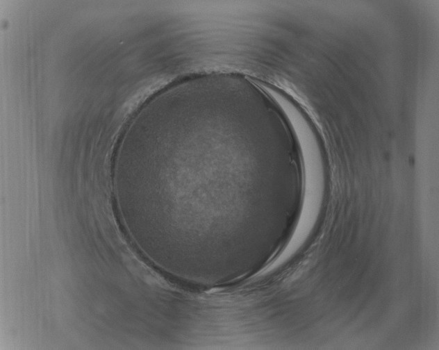 X0000068890673200605122034