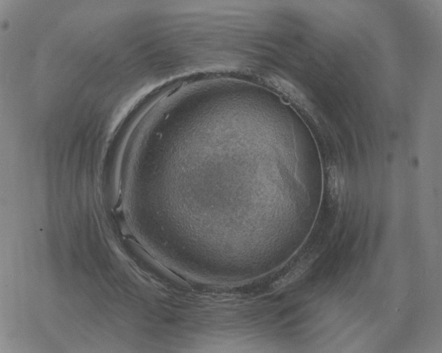 X0000068890676200605122034