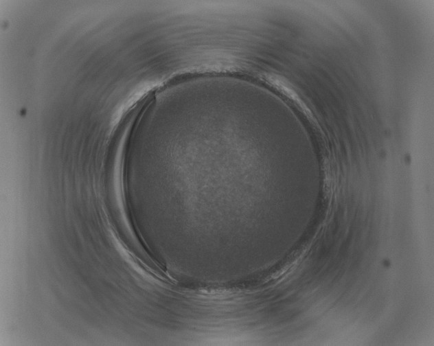 X0000068890677200605122034