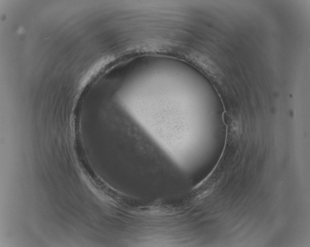 X0000068890678200605122034