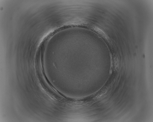 X0000068890680200605122034