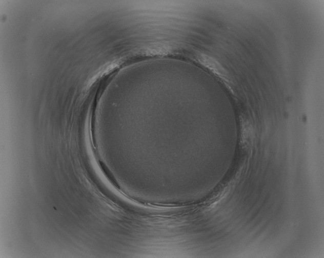 X0000068890681200605122034