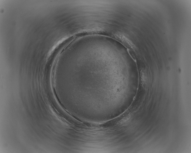 X0000068890684200605122034