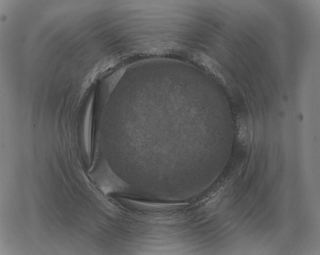 X0000068890685200605122034