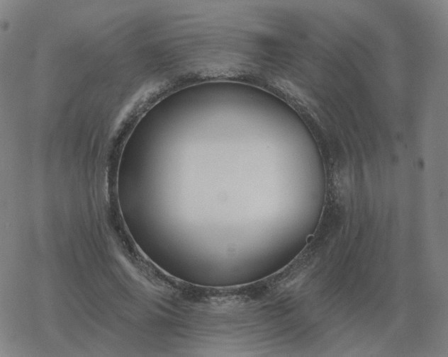 X0000068890686200605122034