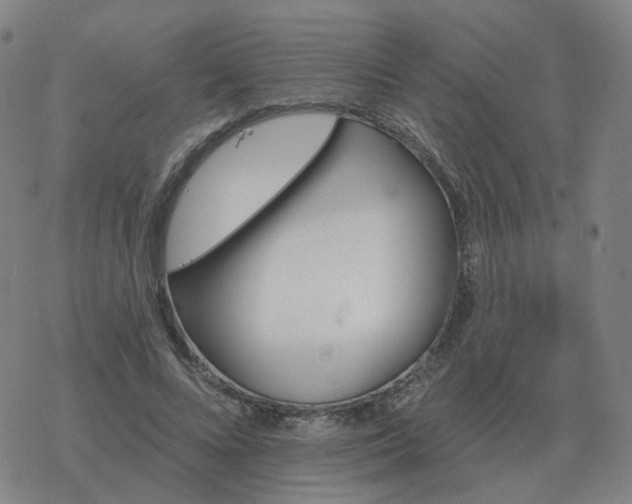 X0000068890688200605122034