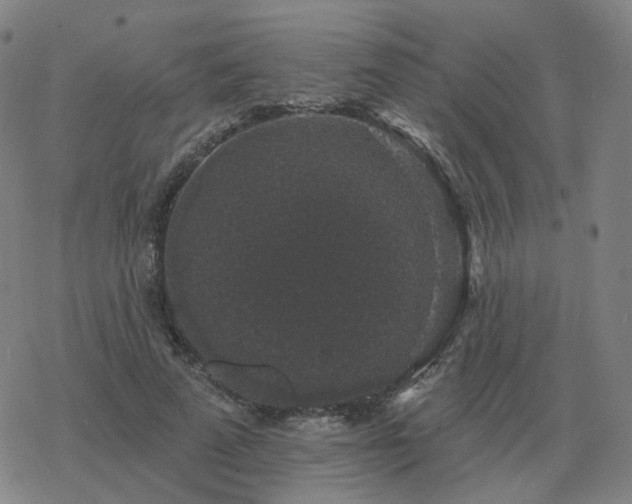 X0000068890689200605122034